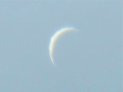Venus Venus