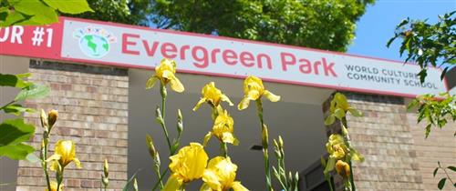 Evergreen Spring Evergreen Spring