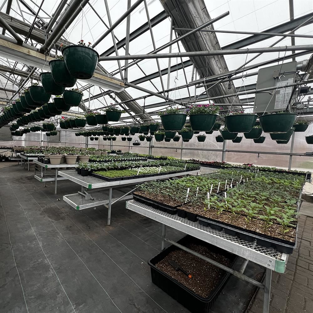  CPHS greenhouse