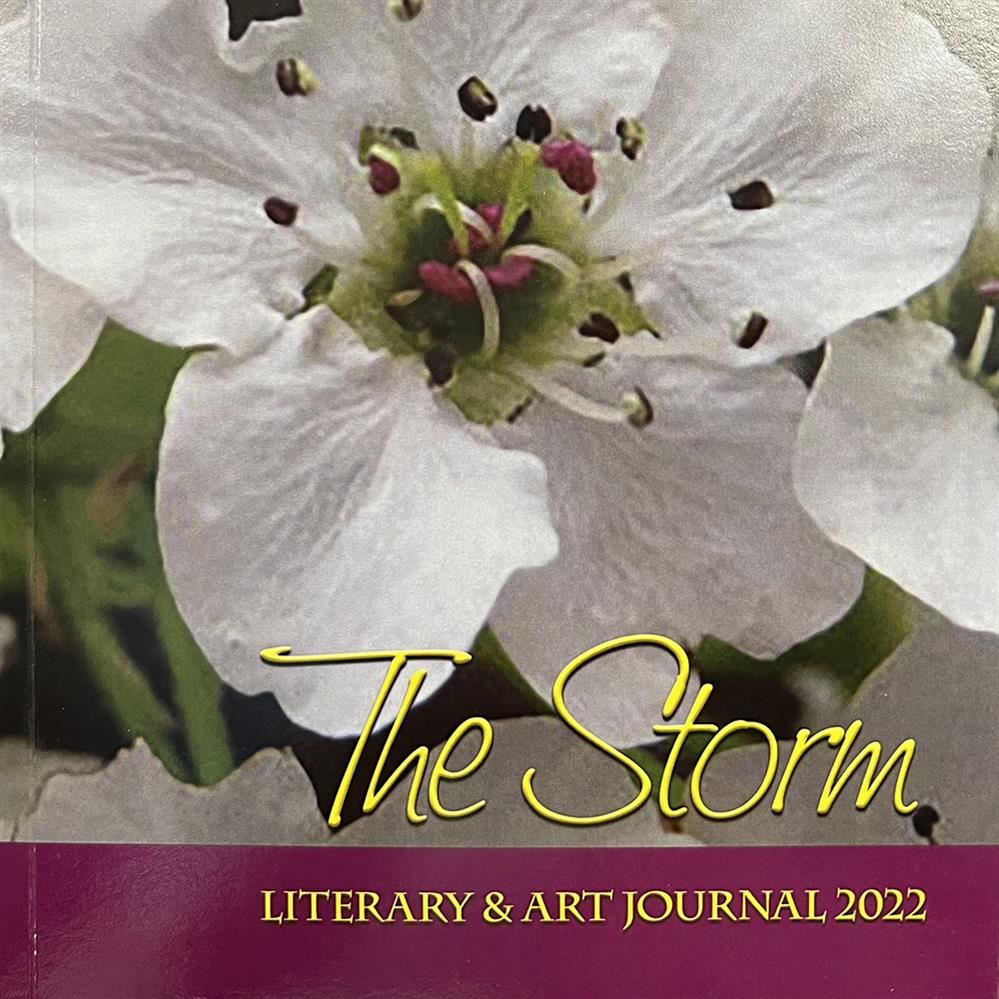  picture of a flower, text with The Storm