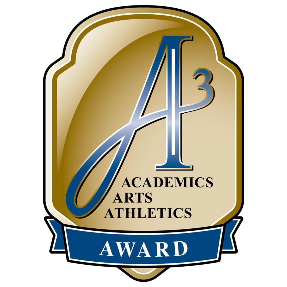  MSHSL Triple A Logo
