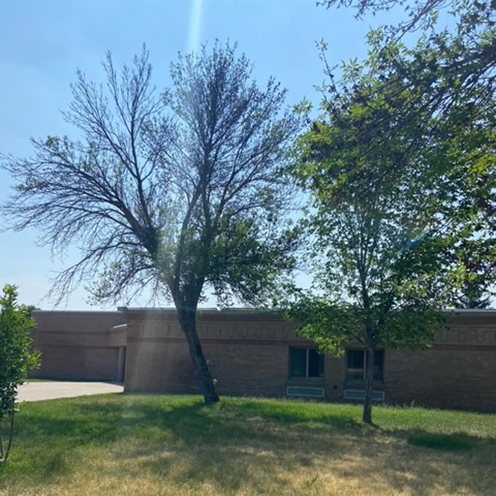  Trees infested with ash borer at Andover Elementary School
