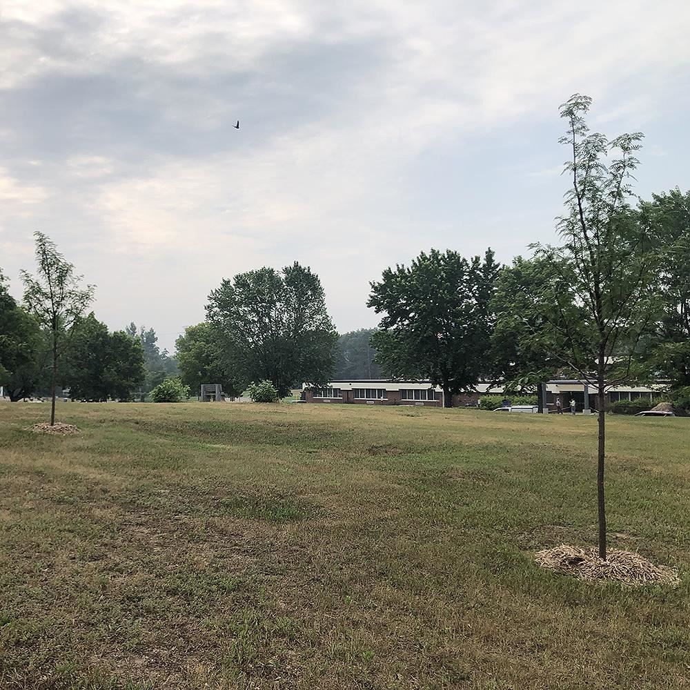 New trees planted at Hamilton Elementary School in Coon Rapids