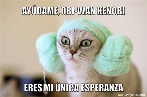 http://zachary-jones.com/zambombazo/miaucoles-lolcat-en-espanol-ayudame-obi-wan-kenobi/ 