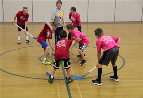 Anoka Hennepin Community Education Will Host The Districtwide