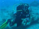 Summer STEM Diver Summer STEM Diver